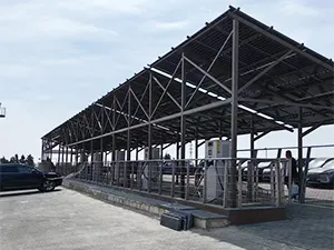 Our Projects